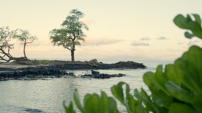 Outside Hawaiʻi: Aloha Makena